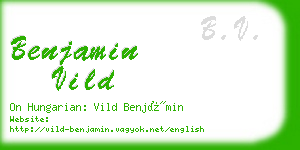 benjamin vild business card